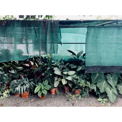 10m x 20m Shade Net Greenhouse Kit