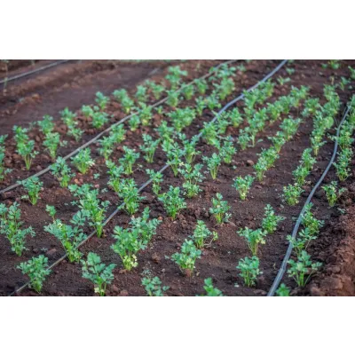 40mm Drip Irrigation Line (100m Roll)